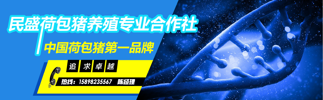 qq图片20150825102736