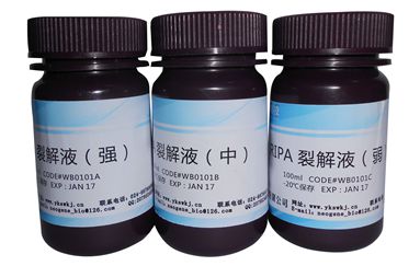 dscn0788 拷贝_副本 dscn0788 拷贝_副本